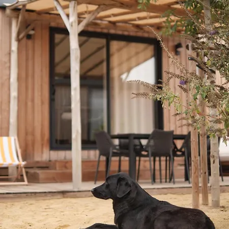 Blendin Retreat Agde * Le Grau-dʼAgde