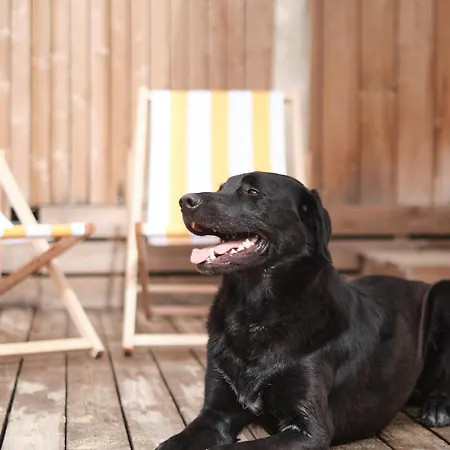 פארק נופש Blendin Retreat Agde Le Grau-dʼAgde