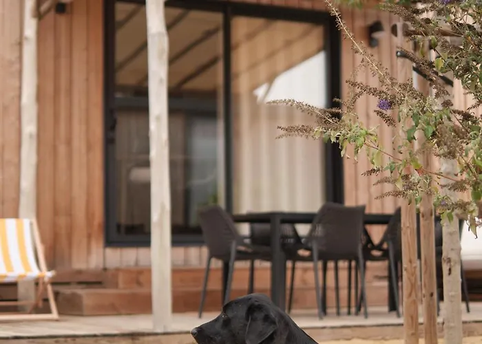 Blendin Retreat Agde * Le Grau-dʼAgde