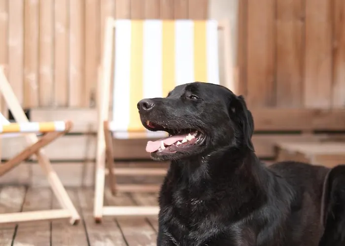 Aldeamento Turístico Blendin Retreat Agde Le Grau-dʼAgde